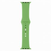 Ремешок для Apple Watch 42mm/44mm S/M силиконовый зеленый