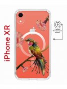 Чехол-накладка iPhone XR Kruche Magnet Print Колибри