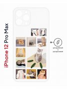 Чехол-накладка iPhone 12 Pro Max Kruche Print Коты-Мемы