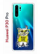 Чехол-накладка Huawei P30 Pro Kruche Print Сова в очках
