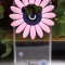 Чехол-накладка Samsung Galaxy Grand Prime G530h / G531h Цветы 9872