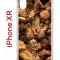 Чехол-накладка iPhone XR Kruche Print Котик с рыбками
