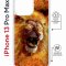 Чехол-накладка Apple iPhone 13 Pro Max (610628) Kruche PRINT Лев