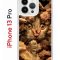 Чехол-накладка Apple iPhone 13 Pro (606543) Kruche PRINT Котик с рыбками