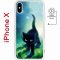 Чехол-накладка Apple iPhone X (598892) Kruche PRINT Черный кот