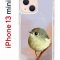 Чехол-накладка Apple iPhone 13 mini (606541) Kruche PRINT Dafna_Little bird