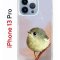 Чехол-накладка Apple iPhone 13 Pro (606543) Kruche PRINT Dafna_Little bird