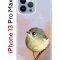 Чехол-накладка Apple iPhone 13 Pro Max (606544) Kruche PRINT Dafna_Little bird