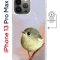Чехол-накладка Apple iPhone 13 Pro Max (610637) Kruche PRINT Dafna_Little bird