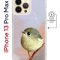 Чехол-накладка Apple iPhone 13 Pro Max (610637) Kruche PRINT Dafna_Little bird