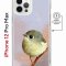 Чехол-накладка Apple iPhone 12 Pro Max (598885) Kruche PRINT Dafna_Little bird