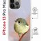 Чехол-накладка Apple iPhone 13 Pro Max (610628) Kruche PRINT Dafna_Little bird
