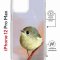 Чехол-накладка Apple iPhone 12 Pro Max (598924) Kruche PRINT Dafna_Little bird