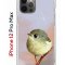 Чехол-накладка Apple iPhone 12 Pro Max (588923) Kruche PRINT Dafna_Little bird