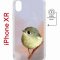 Чехол-накладка Apple iPhone XR (598897) Kruche PRINT Dafna_Little bird