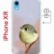 Чехол-накладка Apple iPhone XR (598897) Kruche PRINT Dafna_Little bird