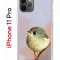 Чехол-накладка Apple iPhone 11 Pro (580658) Kruche PRINT Dafna_Little bird