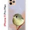 Чехол-накладка Apple iPhone 11 Pro Max (580662) Kruche PRINT Dafna_Little bird