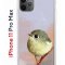 Чехол-накладка Apple iPhone 11 Pro Max (580662) Kruche PRINT Dafna_Little bird